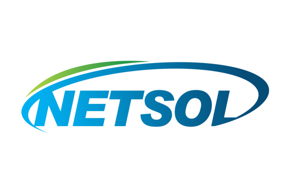 Netsol logo